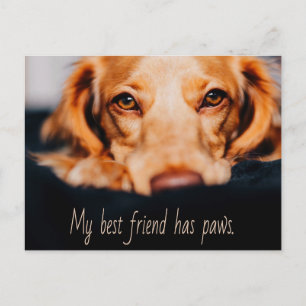 Carte Postale Mon meilleur ami a des pattes de chien, Puppy Meme