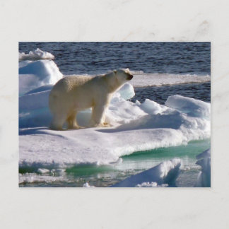 Carte Postale Mon Monde est en train de fondre !