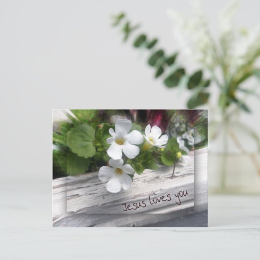 Carte postale Mon mouton (Debout devant)