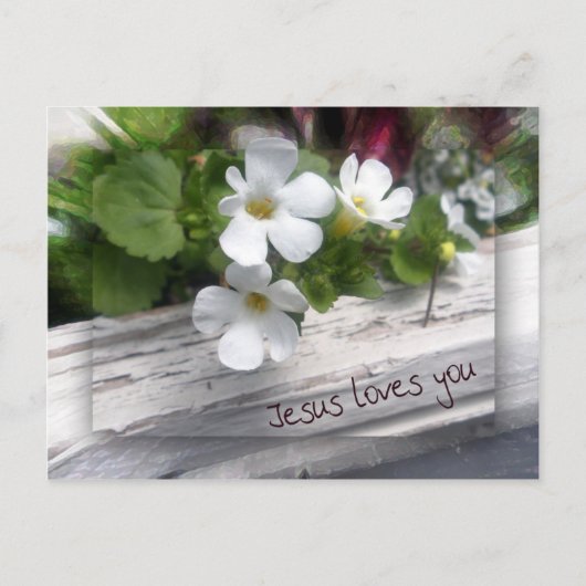 Carte postale Mon mouton (Devant)