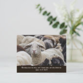 Carte Postale Mon Mouton Entend Ma Voix, Écritures, Herbe De Mou (Debout devant)