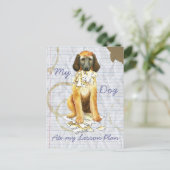 Carte Postale Mon plan de leçon sur la Hound afghane (Debout devant)