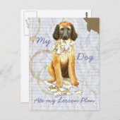 Carte Postale Mon plan de leçon sur la Hound afghane (Devant / Derrière)