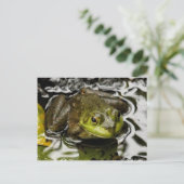 Carte Postale Mon Prince (Debout devant)