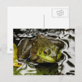 Carte Postale Mon Prince (Devant / Derrière)