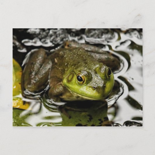 Carte Postale Mon Prince (Devant)