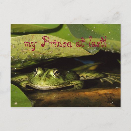 Carte Postale mon Prince à dernier ! (Devant)