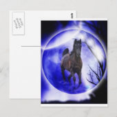 Carte Postale Mon rêve (Devant / Derrière)