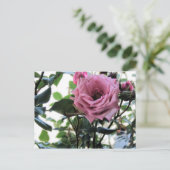 Carte Postale Mon Rose (Debout devant)