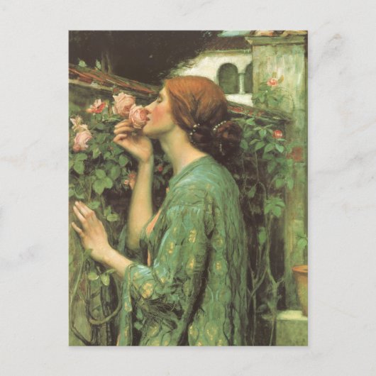 Carte Postale Mon Rose doux, ou Âme du Rose par Waterhouse (Devant)