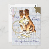 Carte Postale Mon Sheltie a mangé mon plan de leçon (Devant / Derrière)