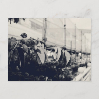 Carte Postale Mon Singapour : Heartlands Series #6