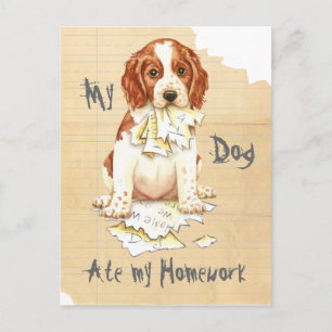 Carte Postale Mon Springer gallois Mange Mes devoirs