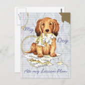 Carte Postale Mon teckel à cheveux longs a mangé mon plan de (Devant / Derrière)