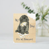 Carte Postale Mon Terre-Neuve a Mangé Mes Devoirs (Debout devant)