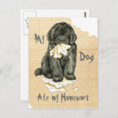 Carte Postale Mon Terre-Neuve a Mangé Mes Devoirs (Devant / Derrière)