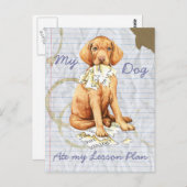 Carte Postale Mon Vizsla a mangé mon plan de leçon (Devant / Derrière)
