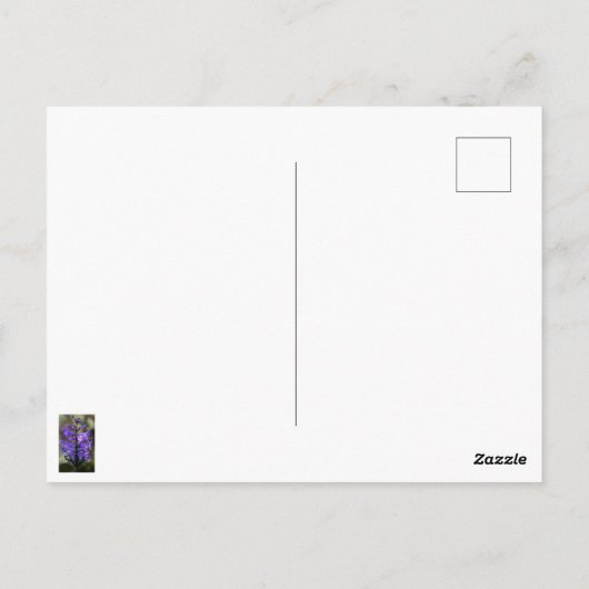 Carte Postale Mona Lavender (Dos)