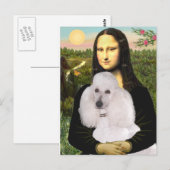 Carte Postale Mona-Pood-Blanc-Caniche Standard (Devant / Derrière)