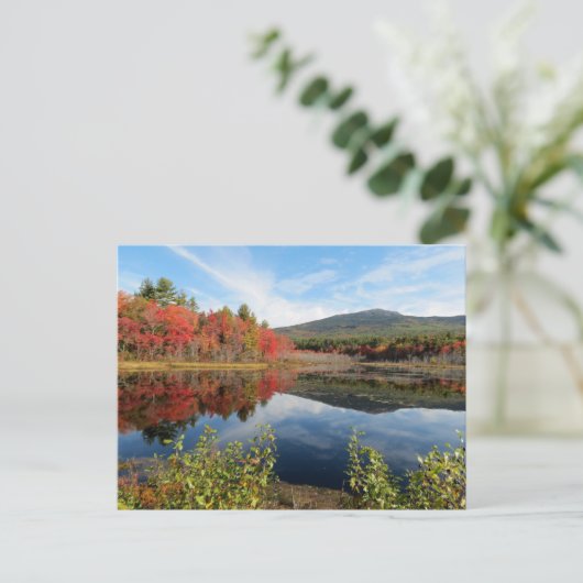 Carte Postale Monadnock (Debout devant)
