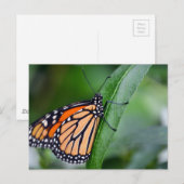Carte postale Monarch (Devant / Derrière)