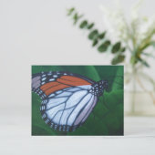 Carte postale Monarch (Debout devant)