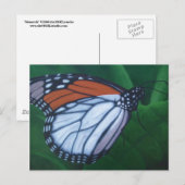 Carte postale Monarch (Devant / Derrière)