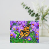 Carte postale Monarch Butterfly (Debout devant)