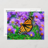 Carte postale Monarch Butterfly (Devant / Derrière)