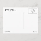 Carte postale Monarch Butterfly (Dos)