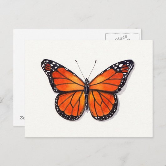 Carte postale Monarch Butterfly (Devant / Derrière)
