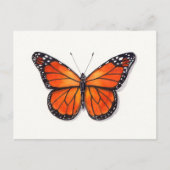 Carte postale Monarch Butterfly (Devant)