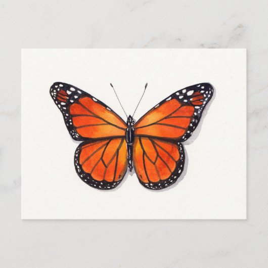 Carte postale Monarch Butterfly (Devant)