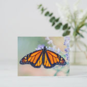 Carte Postale Monarch Butterfly (Debout devant)
