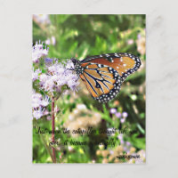 Carte postale Monarch Butterfly
