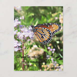 Carte postale Monarch Butterfly