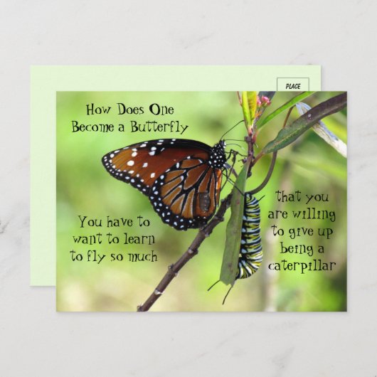 Carte Postale Monarch Butterfly & Caterpillar Quot (Devant / Derrière)