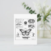 Carte Postale Monarch Butterfly Information (Debout devant)