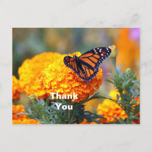 Carte Postale Monarch Butterfly Marigold Merci photo