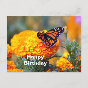 Carte Postale Monarch Butterfly Marigold Photo Anniversaire