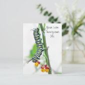 Carte postale Monarch Caterpillar Valentine (Debout devant)