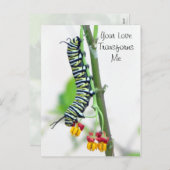 Carte postale Monarch Caterpillar Valentine (Devant / Derrière)