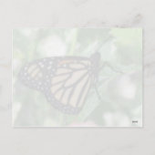 Carte postale Monarch Caterpillar Valentine (Dos)