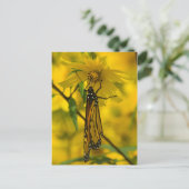 Carte postale Monarch et Fleur Jaune (Debout devant)