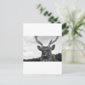 Carte Postale Monarque (Debout devant)