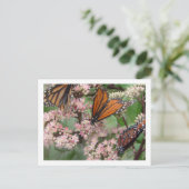 Carte Postale Monarque Butterflies (Debout devant)