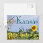 Carte Postale Monarque de tournesol (Devant / Derrière)