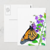 Carte Postale Monarque en fleurs (Devant / Derrière)