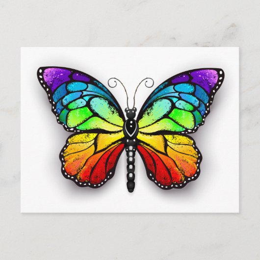 Carte Postale Monarque papillon arc-en-ciel (Devant)