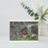 Carte Postale Monarque papillon dans la série papillon de LellO (Debout devant)